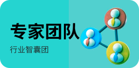 团队